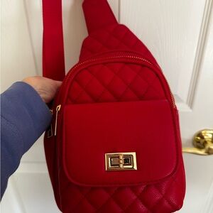 Malibu Skye Double Compartment Sling Bag with Medallion Detailing - Berry